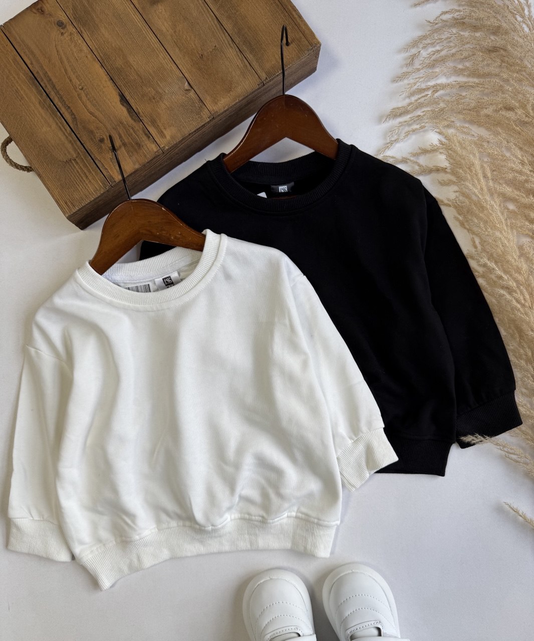 دورس بیسیک - نی نی لوس